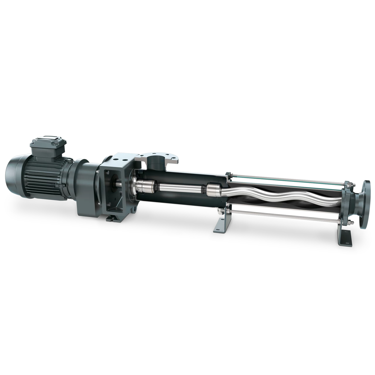NEMO® BY Progressive Cavity Pump. NM product series